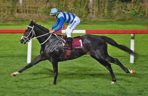 Tozkoparanlı Gürkan